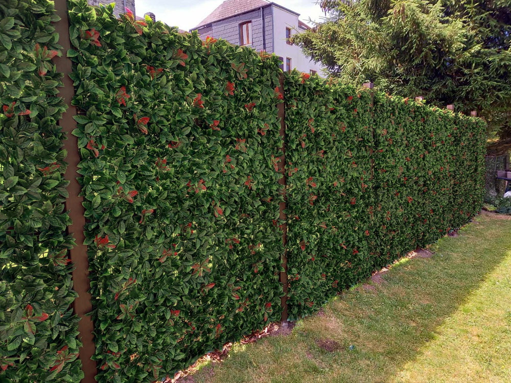 Red Leaf Harmony -HN-03400