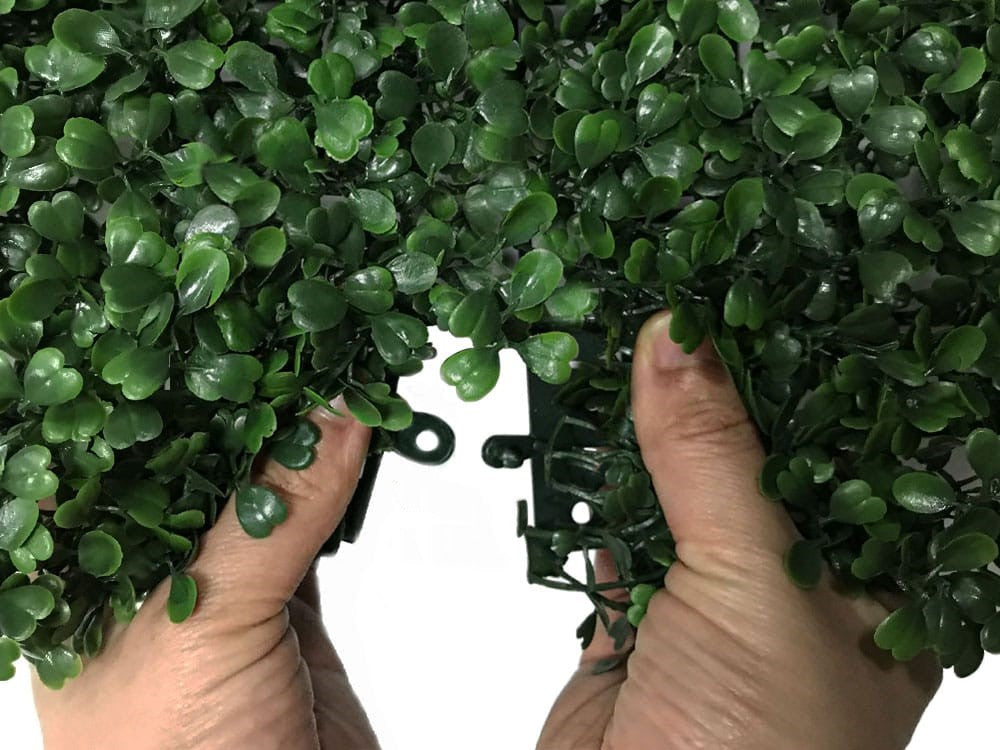 Evergreen Lux-HN-01000