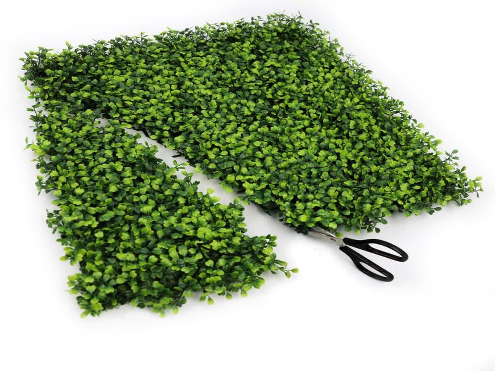 Evergreen Lux-HN-01000