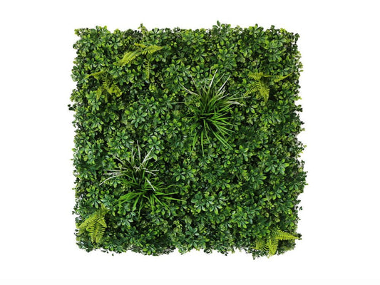 Natural Harmony-HN-09600