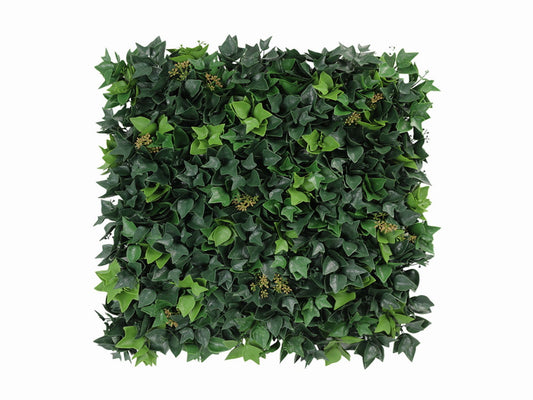 Ivy mix -HN-00200