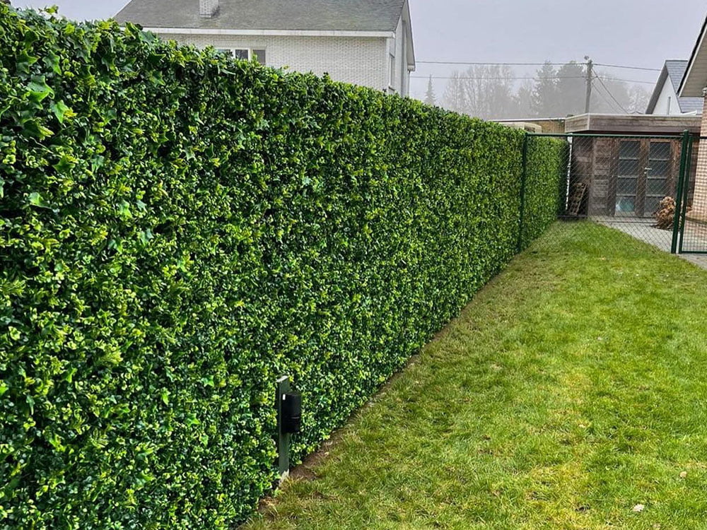 Evergreen Lux-HN-01000