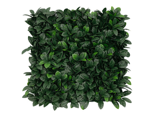 Glossy Leaf -HN-02300