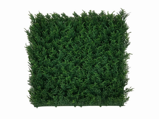 Evergreen Tuja- HN-04000