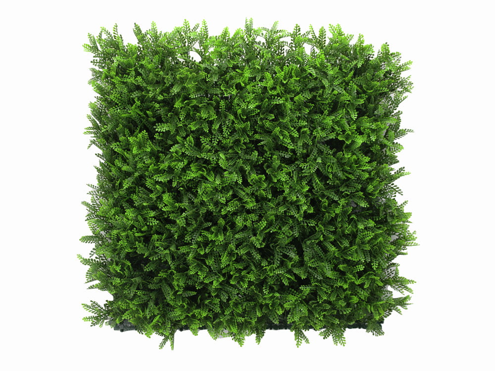 Fern Luxe- HN-07100