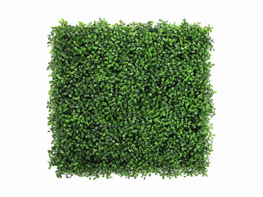 Boxwood HN-13400